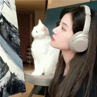 战地琴人